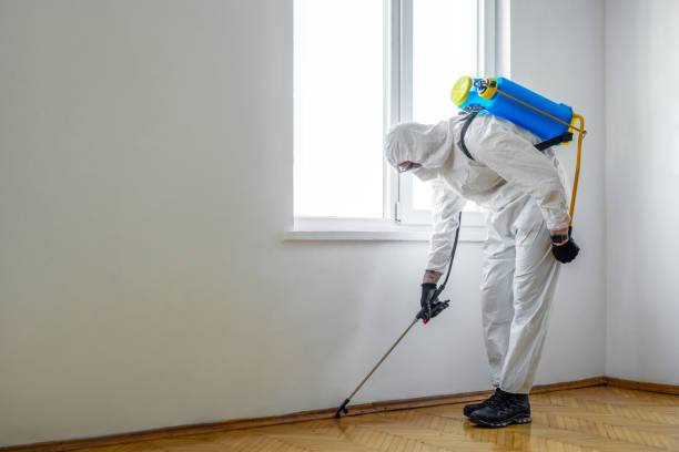 Best Mosquito Control Services  in Hermann, MO
