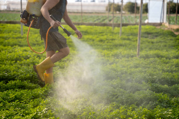 Best Affordable Pest Control Services  in Hermann, MO