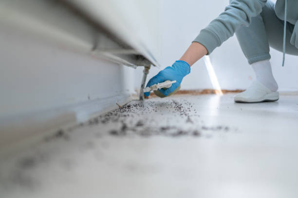 Best Commercial Pest Control Services  in Hermann, MO